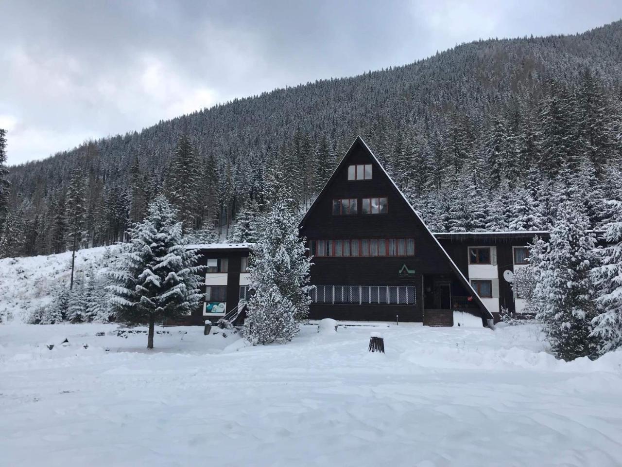Horska Chata Primula - 1000 M Nad Morom Zuberec Eksteriør bilde